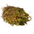 HABISTAT SPHAGNUM MOSS - Mosi í "rök"búr