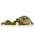 HABISTAT TORTOISE FOOD - Skjaldböku matur