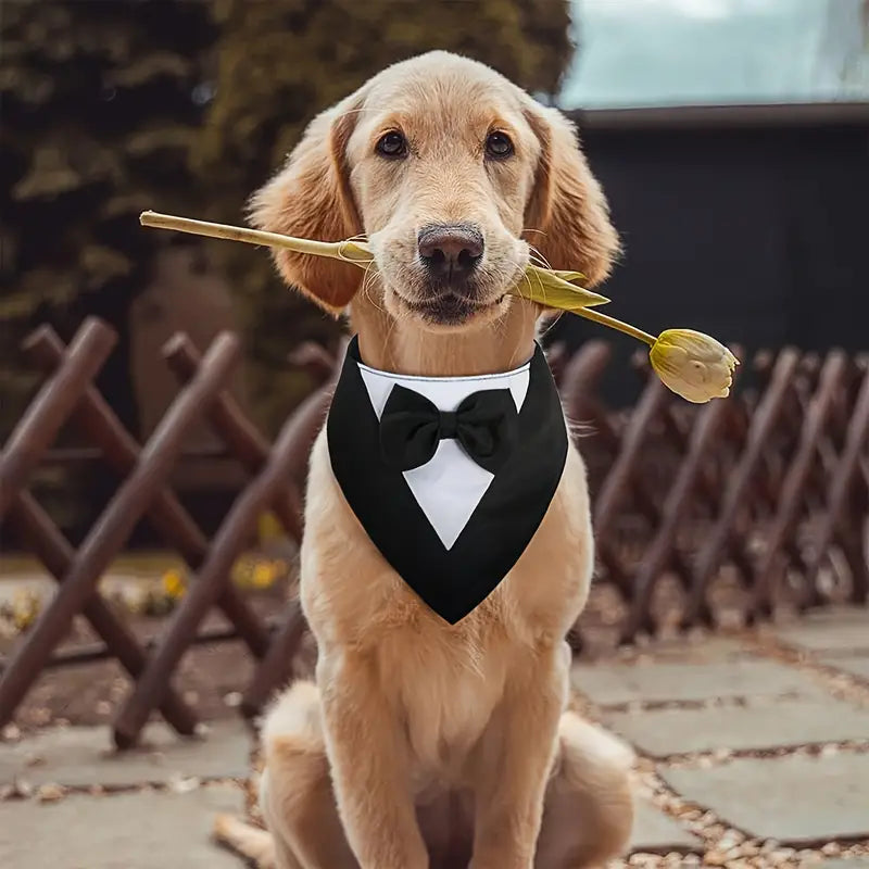 Tuxedo