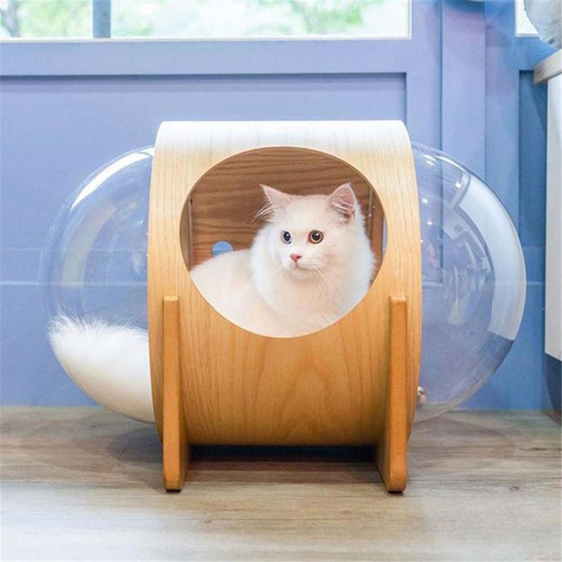 Kattarúm