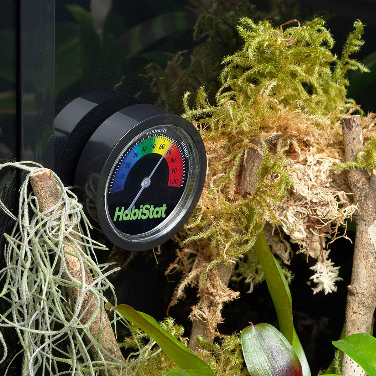 HABISTAT DIAL HYGROMETER - Rakamælir