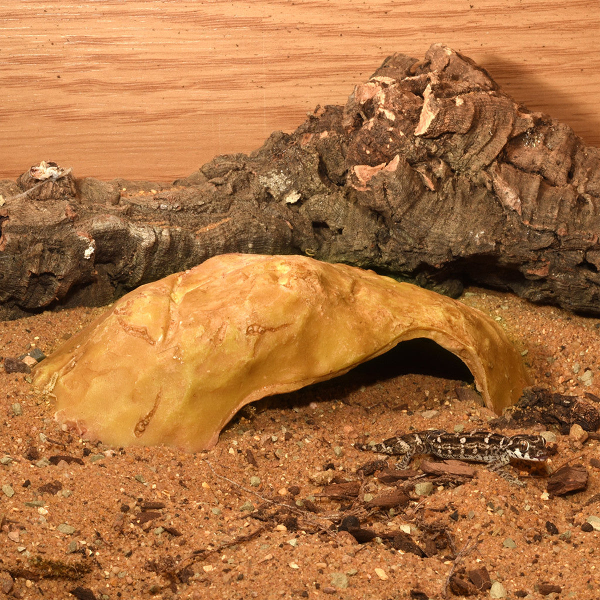 HABISTAT SANDSTONE REPTILE CAVE - Hellir úr Sandstein