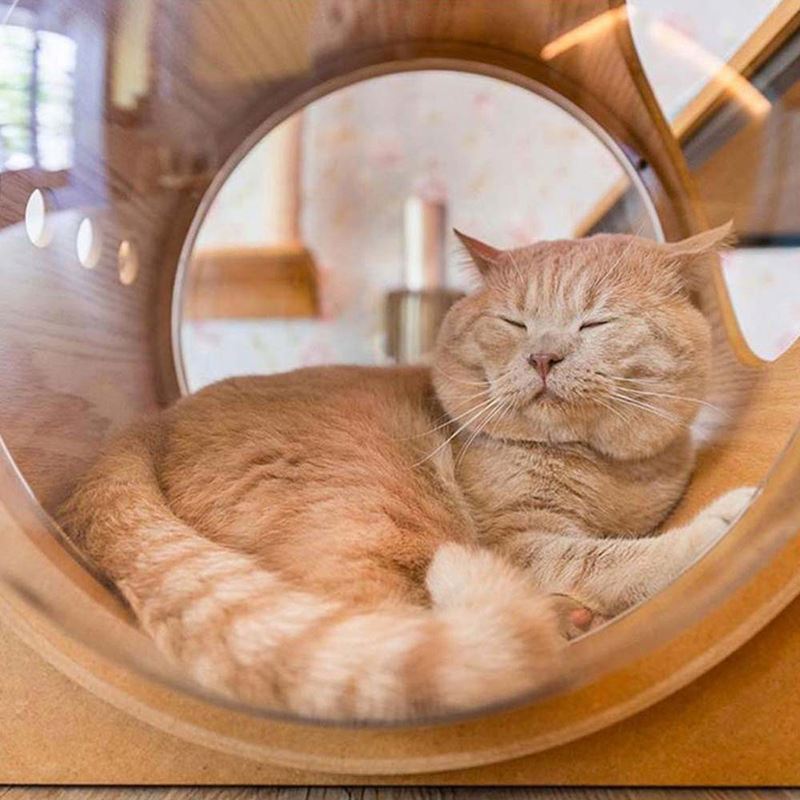 Kattarúm